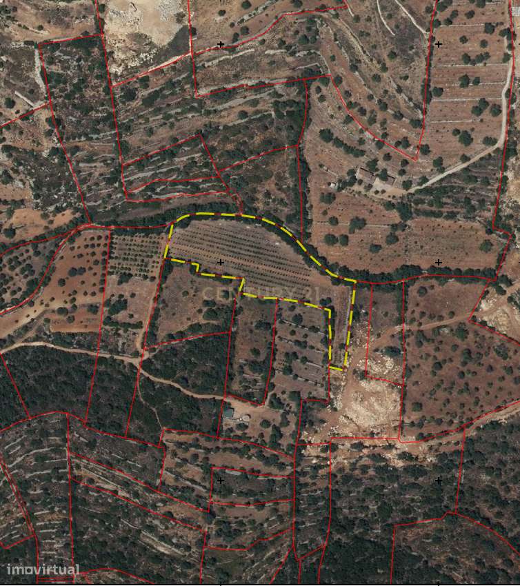 230.000€ Conjunto de 3 terrenos rústicos - Barranco de S. Miguel - Grande imagem: 5/12