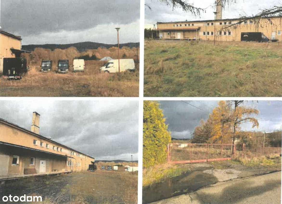 Sprzedaż: działka 6489 m2 z budynkami po byłej piekarni-2