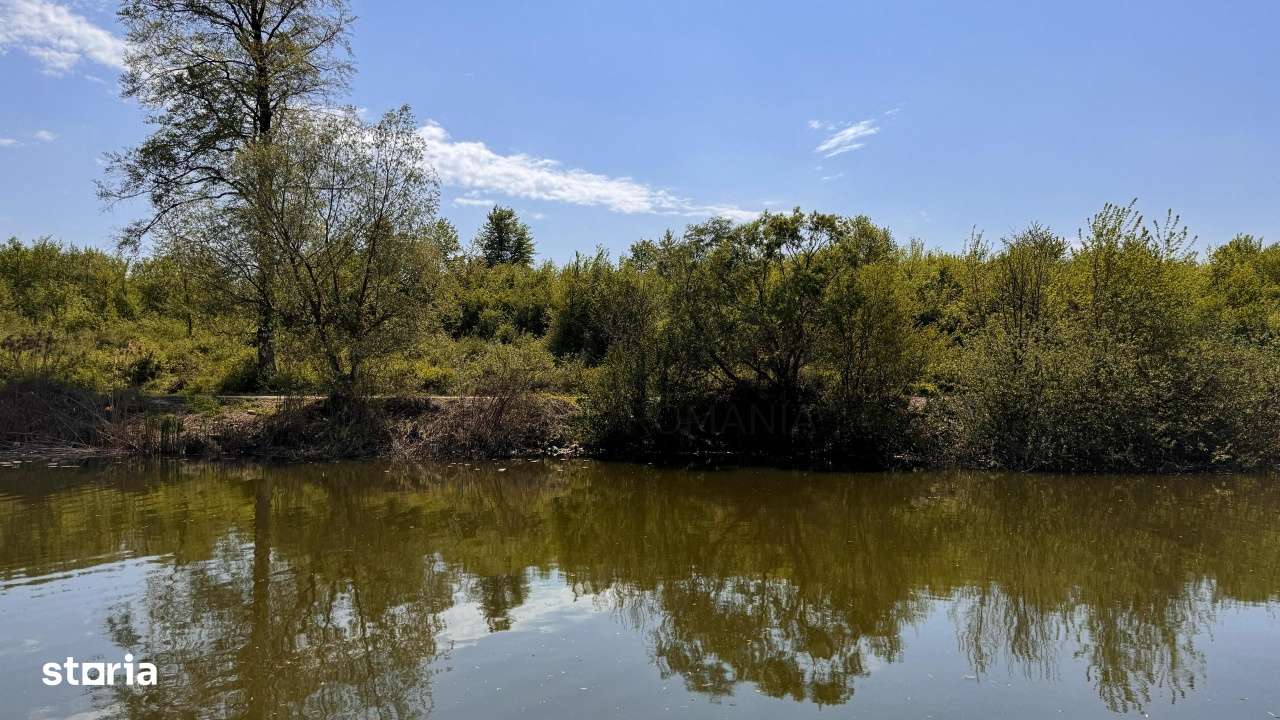 Teren Intravilan 15.840 mp Silistea Snagovului De Vanzare - Imagine principală: 2/6