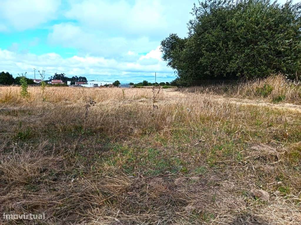 Terreno Rustico / Agrícola - Cacia - Para Investimento - Grande imagem: 3/21