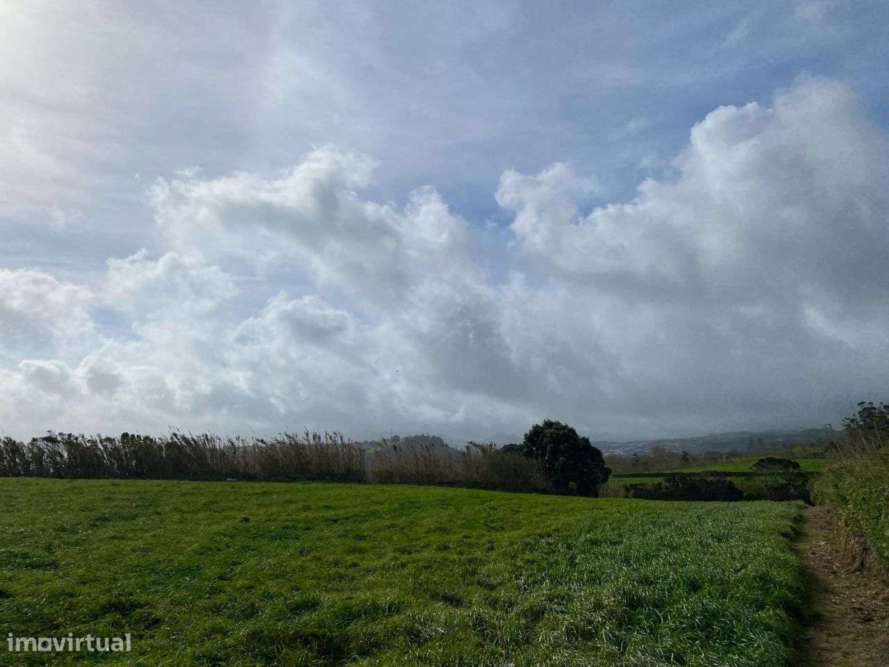 Terreno com vista ao norte de São Miguel, nas Figueiras - Grande imagem: 4/9