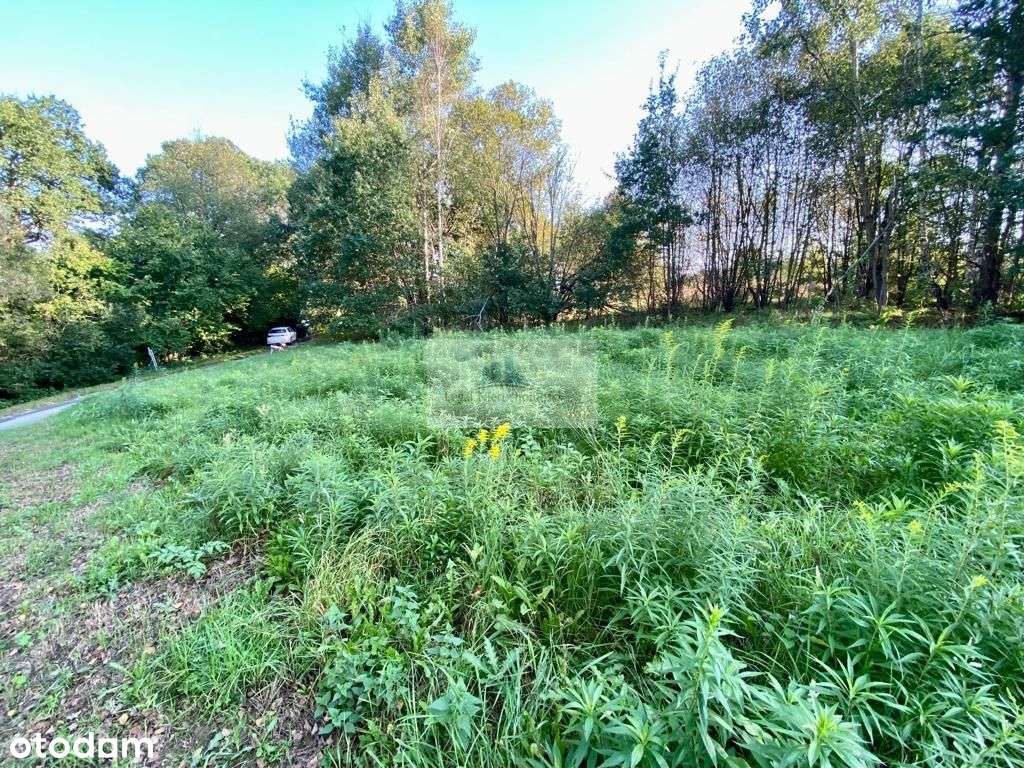 Działka budowlana w Woli Radziszowskiej - Pełny obrazek: 4/5