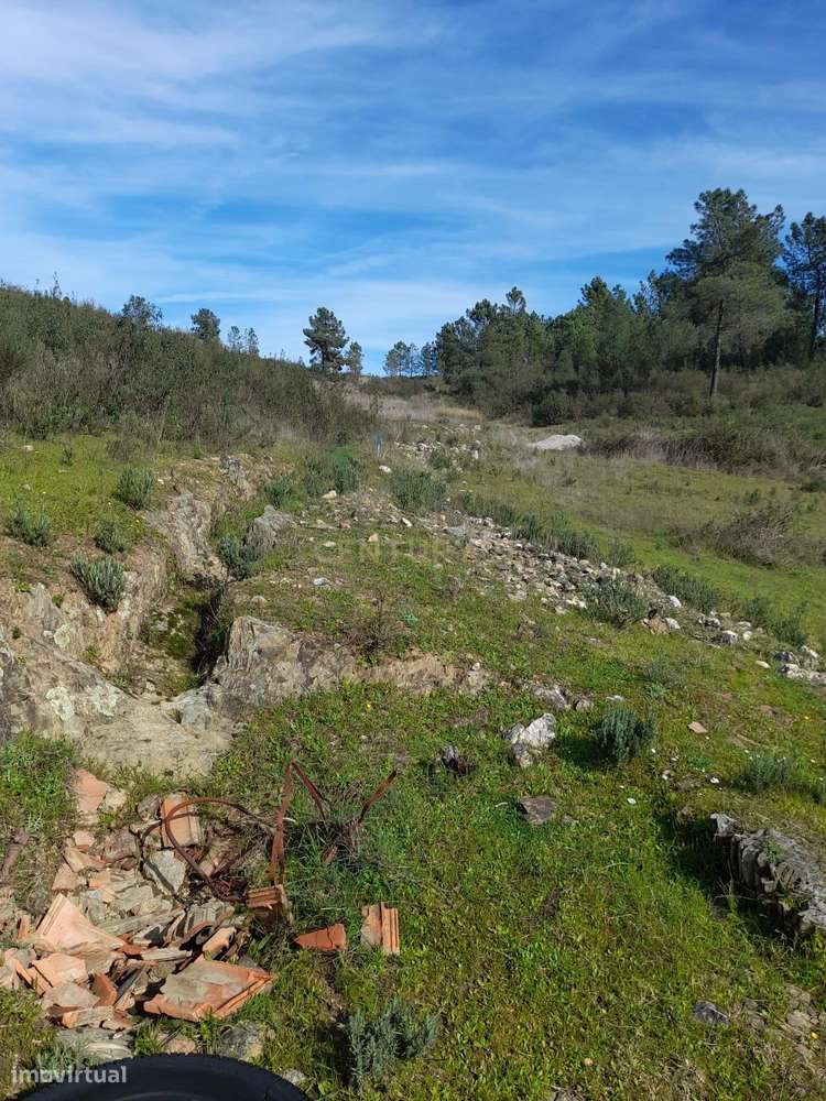 Terreno rústico, Salgueiro do Campo, Castelo Branco - Grande imagem: 5/16