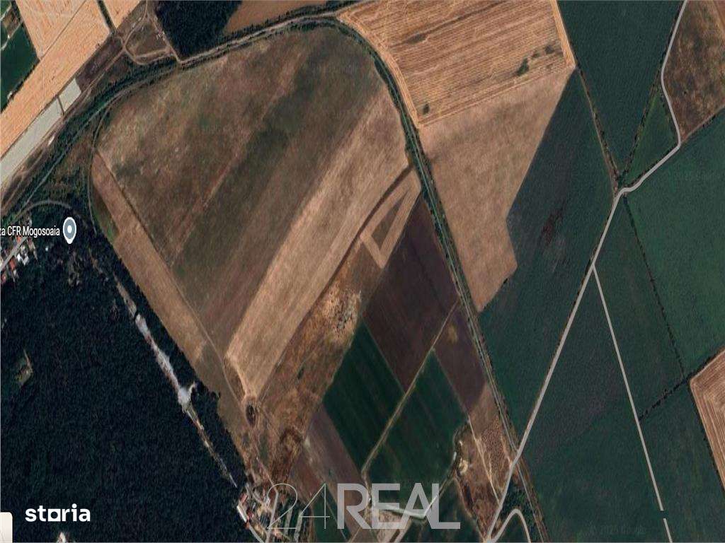 Teren de vanzare cu Puz aprobat - 210 000 mp - Mogosoaia - Imagine principală: 4/5