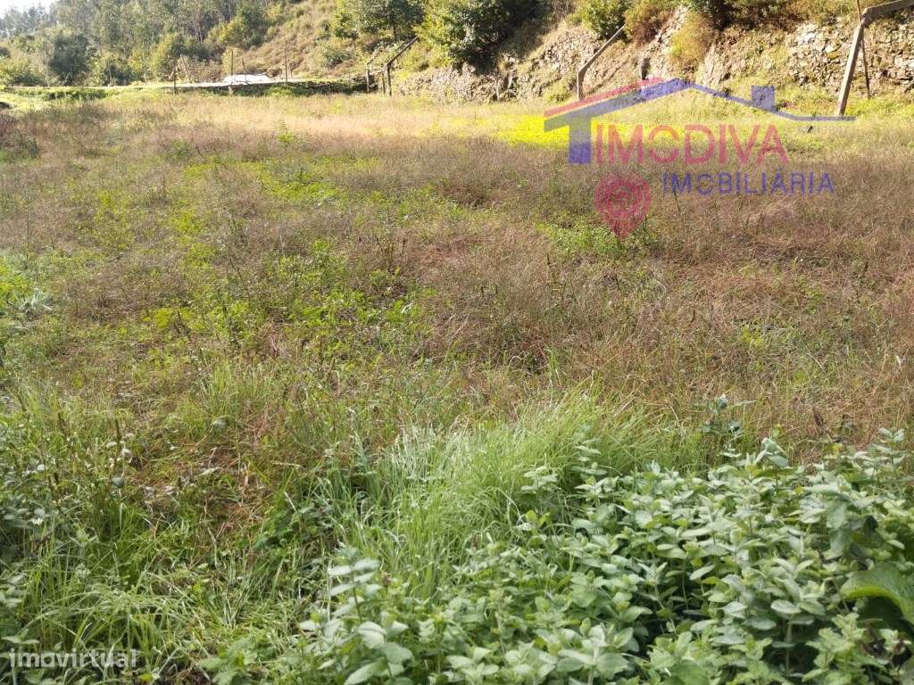 Terreno sustentável em Graça, Pedrogão Grande-18