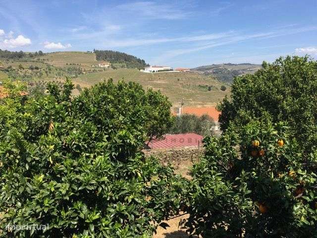 Casa com Terreno em Vilarinho de Cotas, Douro-15