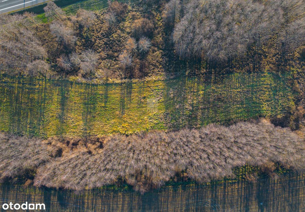 Działka usługowa / produkcyjna DK94 Łazy potencjał-8