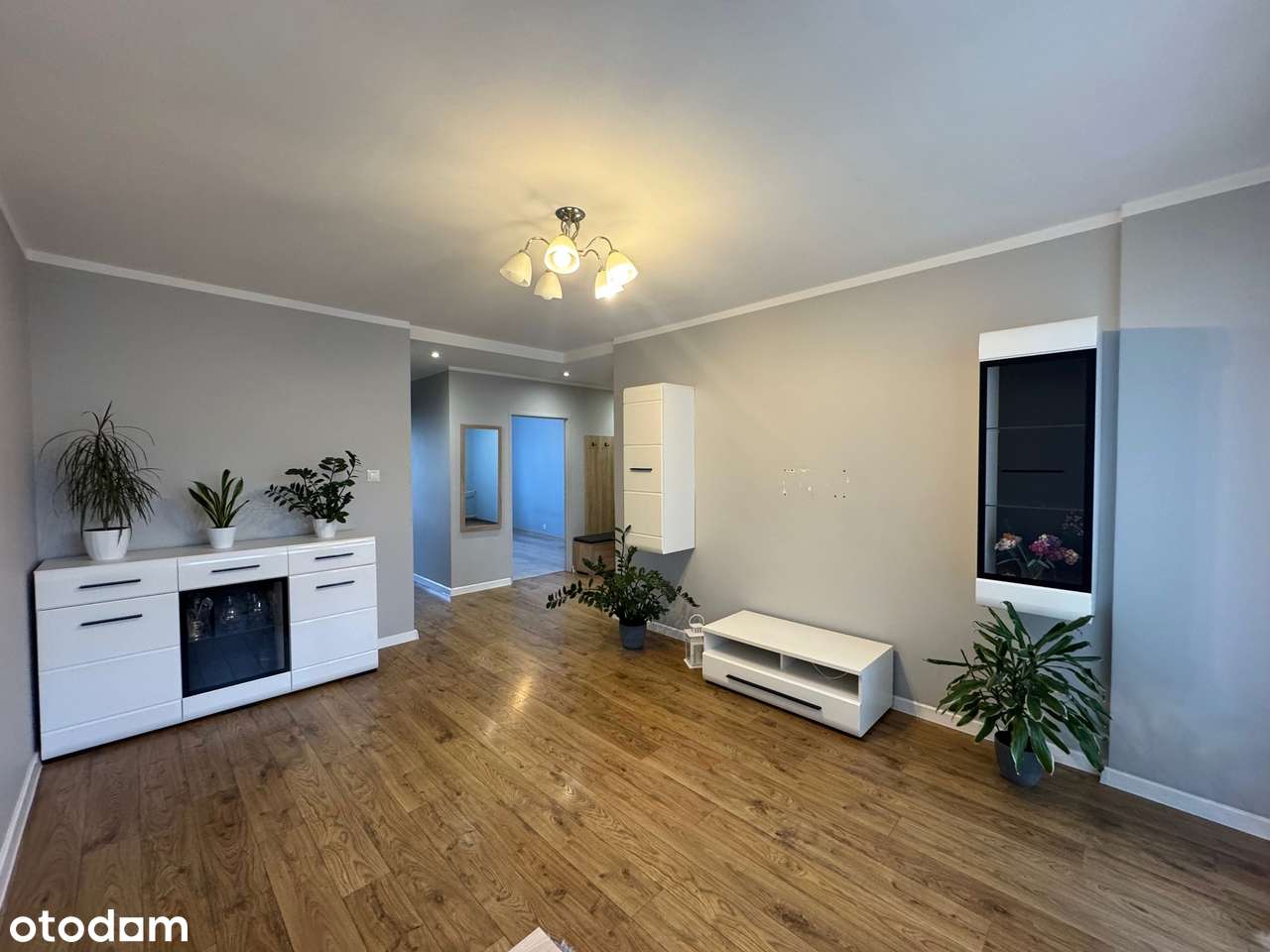 Przytulne  mieszkanie, osobna kuchnia-1