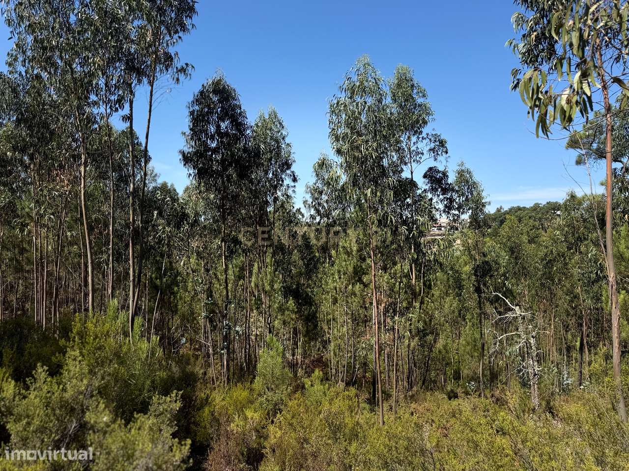 Terreno Urbano em Almalaguês, Coimbra-3