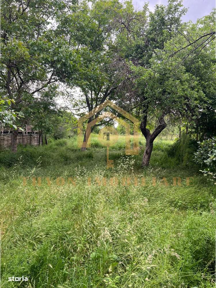 Casă de vânzare în Petrești, Sebeș – teren generos 1961 mp-7