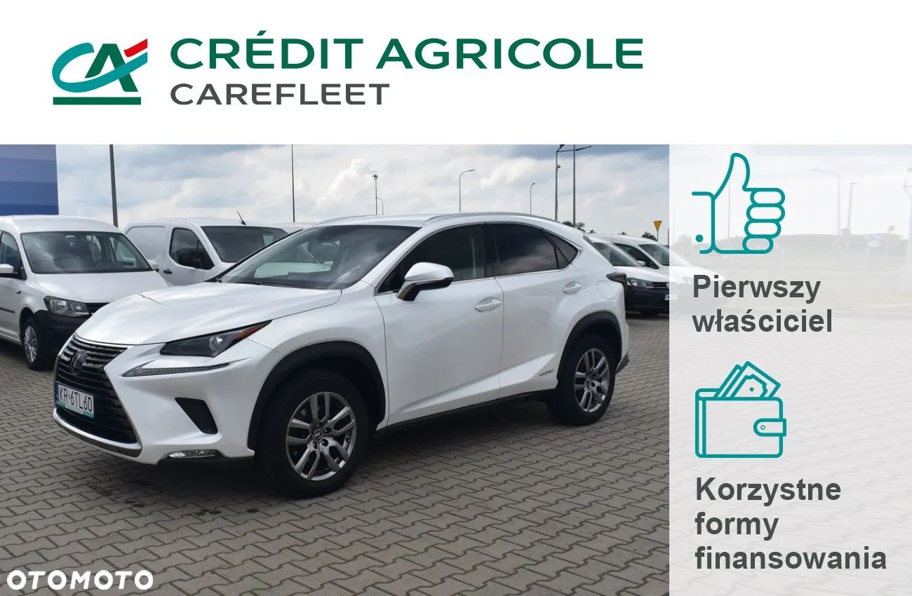 Lexus NX - 1