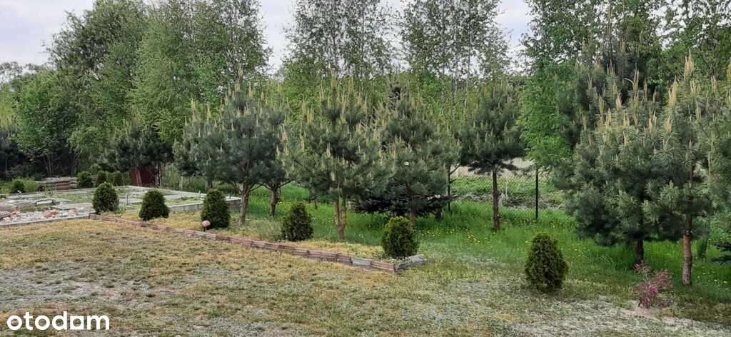 Malownicza działka w Ldzaniu – blisko rzeki Grabi - Pełny obrazek: 5/8