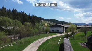 Teren 4238 mp cu 3 Hale de Depozitare si Birou! De Vanzare! - Imagine principală: 3/9
