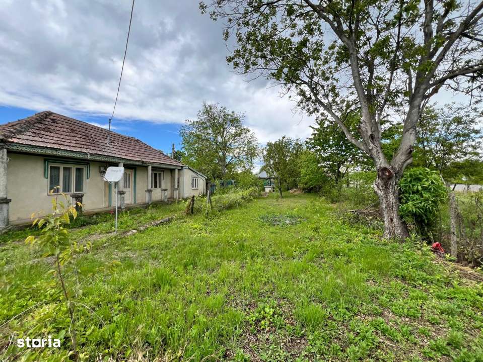 Casa + teren 4430 mp, vie si pomi fructiferi, 22 km de Tecuci - Imagine principală: 5/19