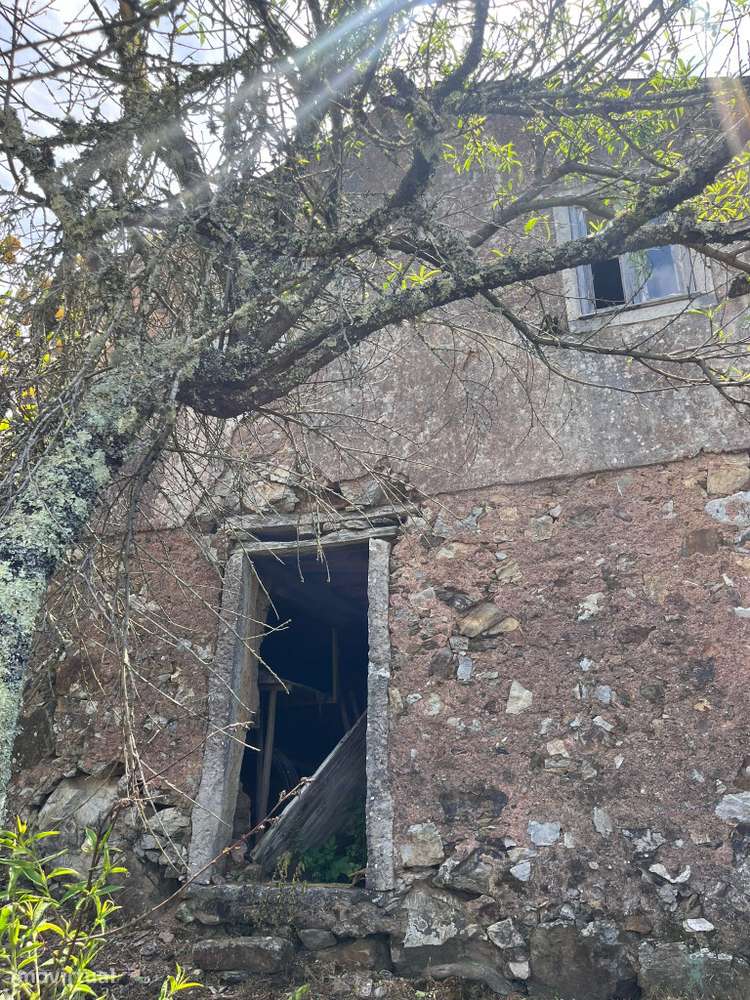 Moradia M4 com terreno em zona de  Penela-11