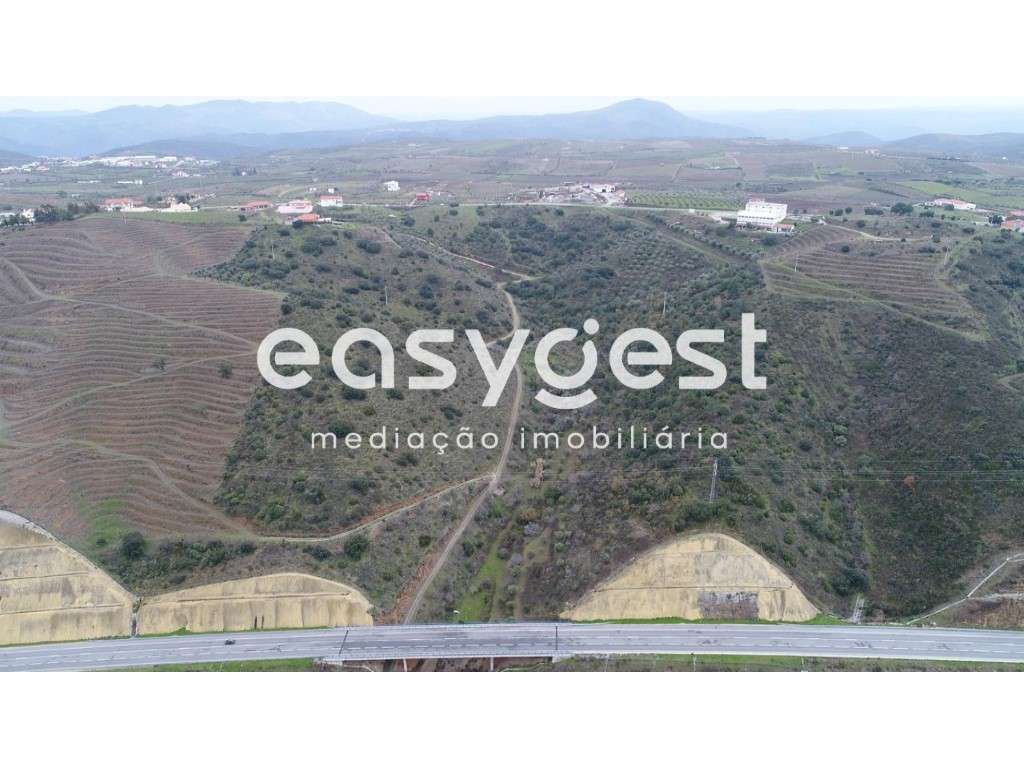 Terreno rústico agrícola com possibilidade de construção em Vila No... - Grande imagem: 3/4