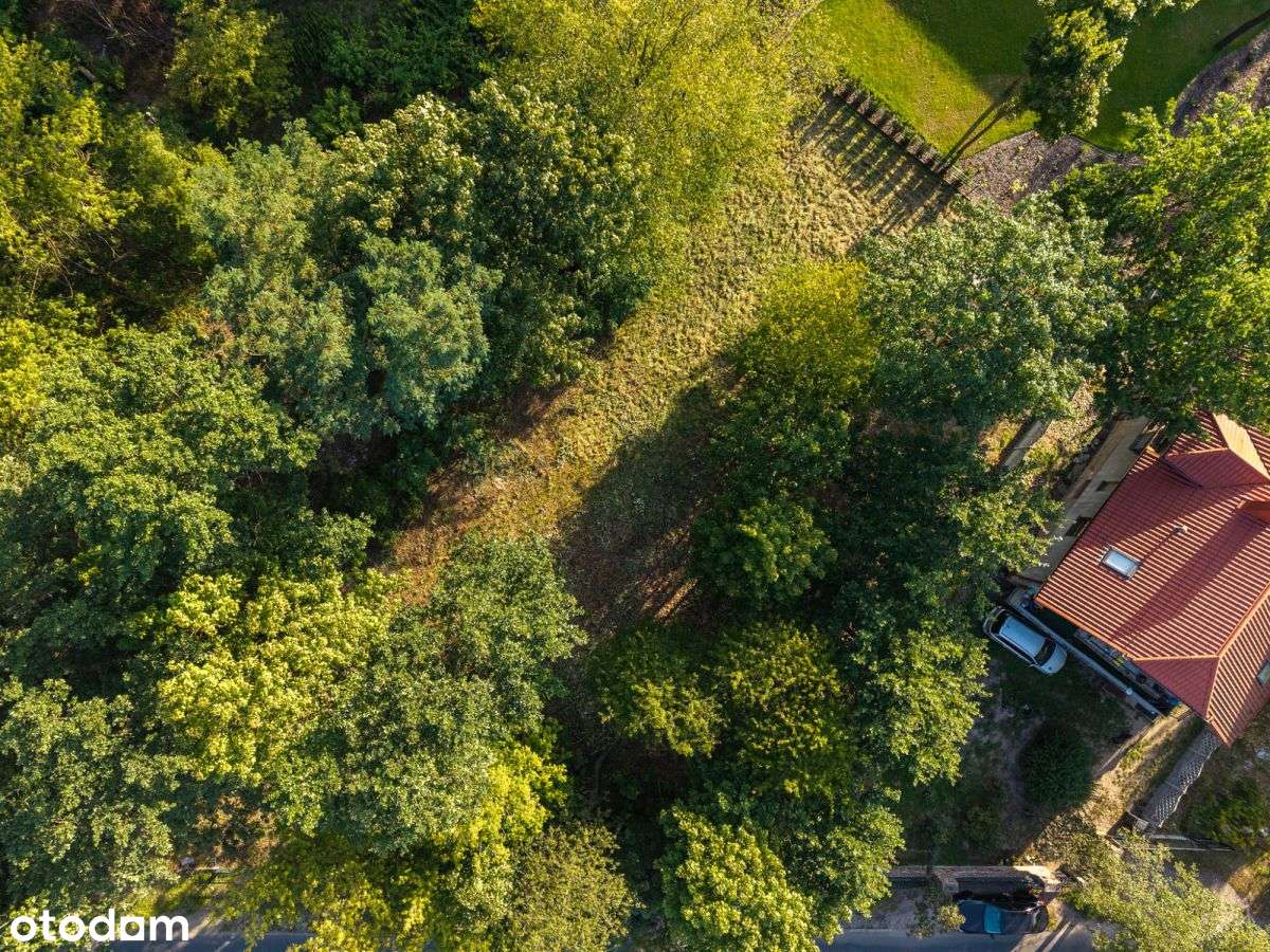 Działka w Milanówku - idealna pod dom dla rodziny - Pełny obrazek: 5/18