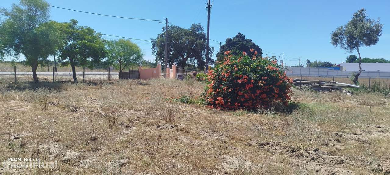 Quinta  5000m2 Viver no Campo Com a Cidade Por Perto Passil Alcochete-56