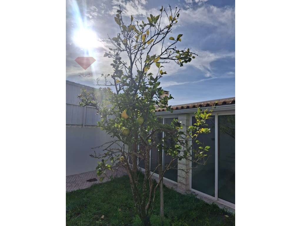 Moradia Exclusiva em Sesimbra-35
