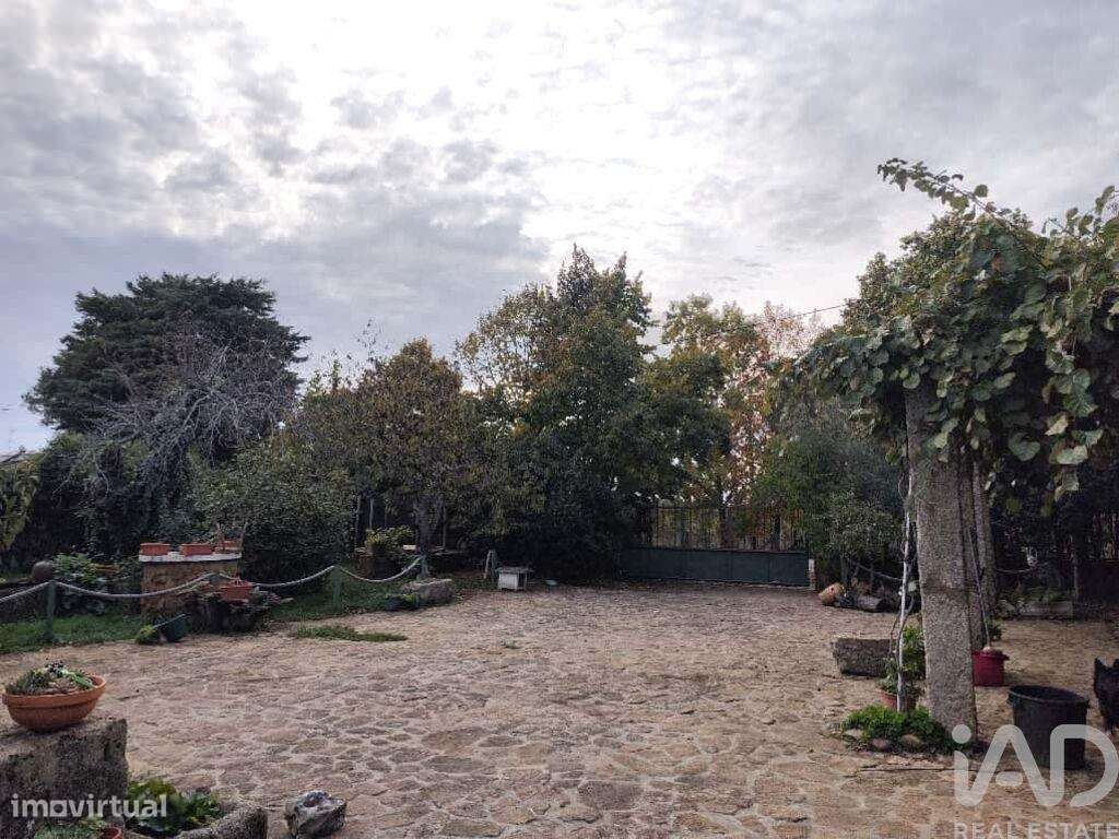 Quinta T5 em Sabugal e Aldeia de Santo António de 130 m2 - Grande imagem: 5/40