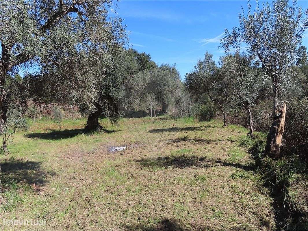 Terreno  para venda - Grande imagem: 3/28