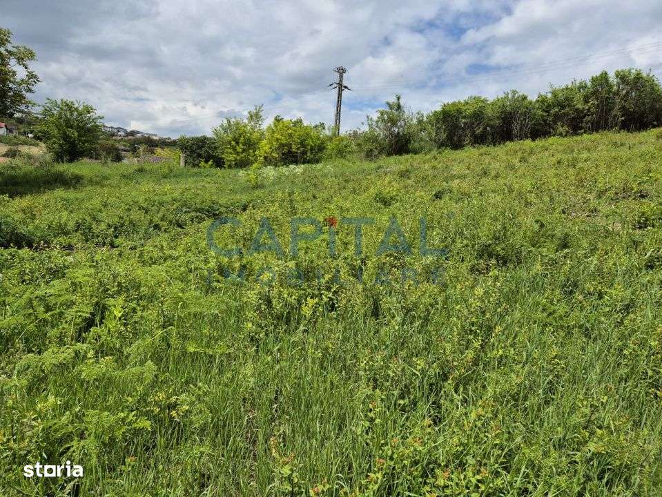 Teren intravilan, 1663 mp, central Dezmir - Imagine principală: 3/7