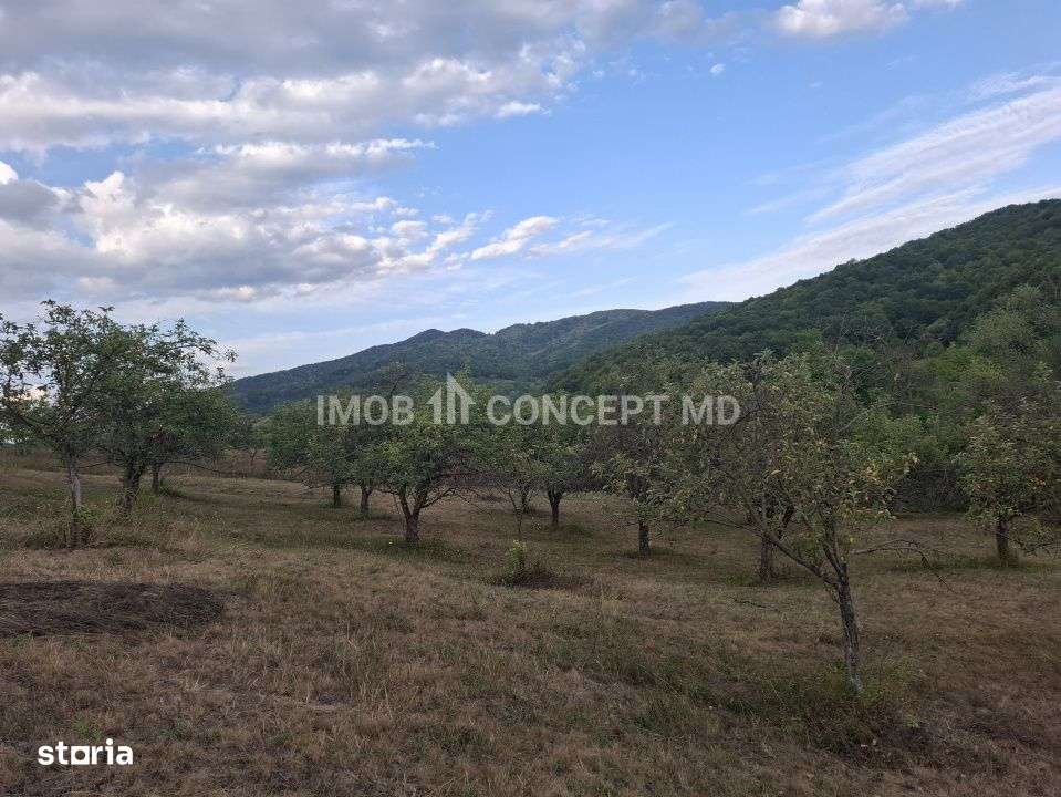 Teren spectaculos cu padure, livada si priveliste panoramica in Soimar-15