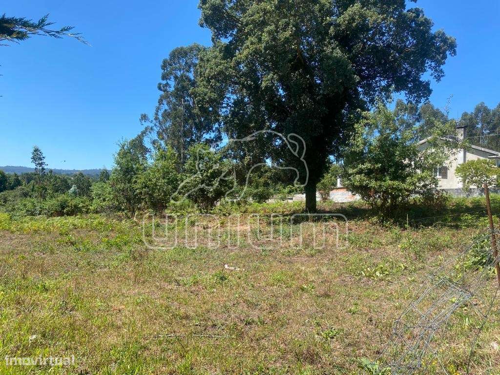 Terreno Fragoso - Grande imagem: 1/6