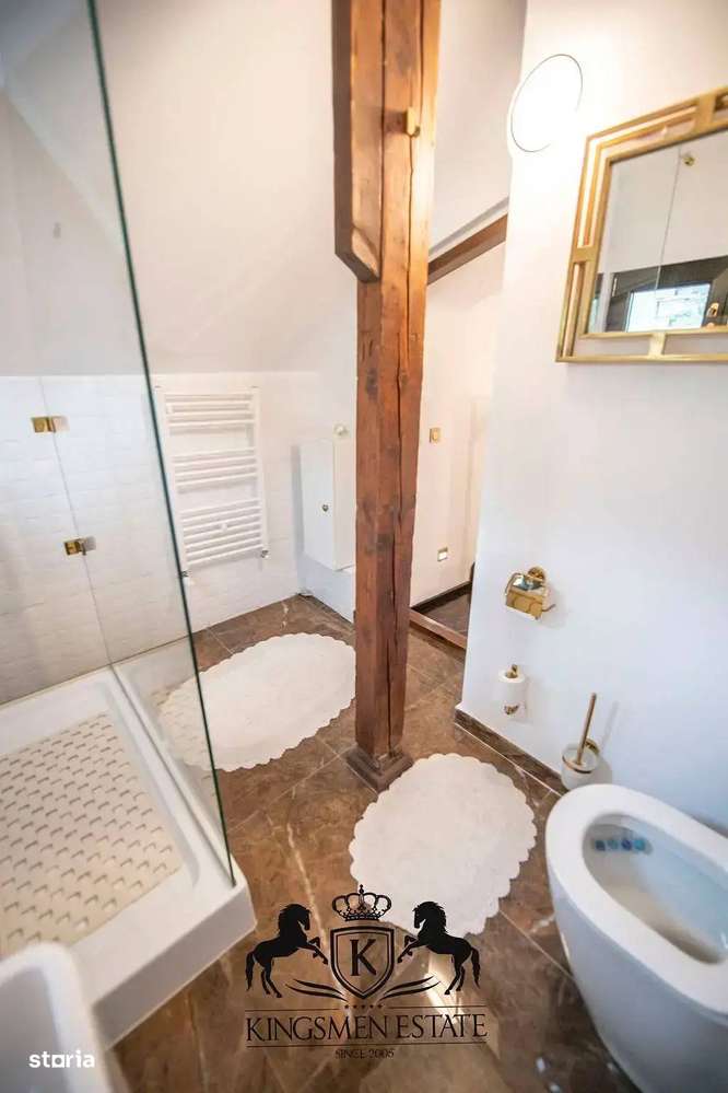 Casă superbă, consolidata si restaurata, Zona Decebal-2