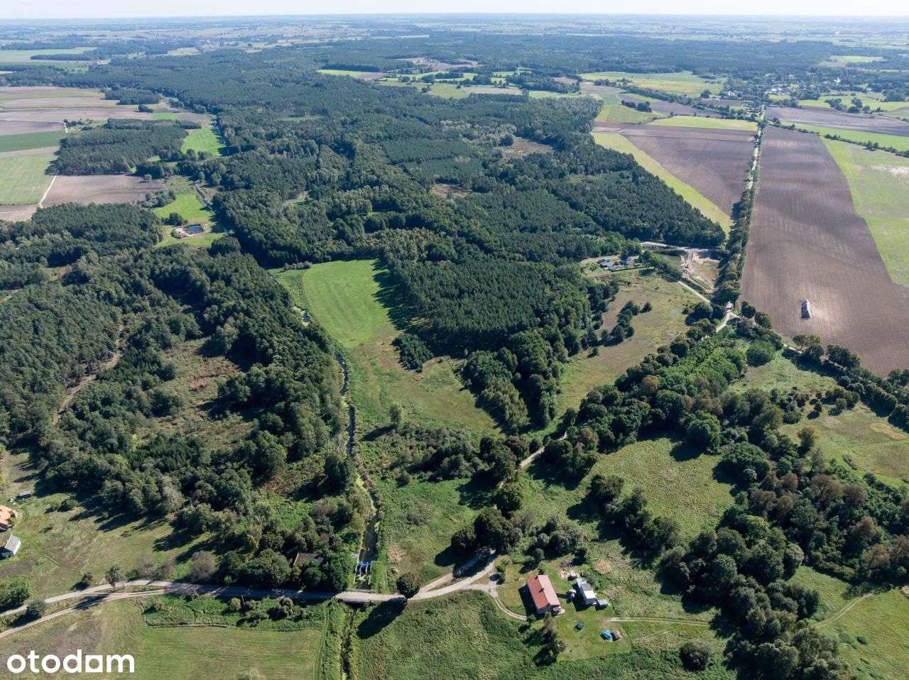 Działka 7,2 ha- przyroda i potencjał inwestycyjny-3