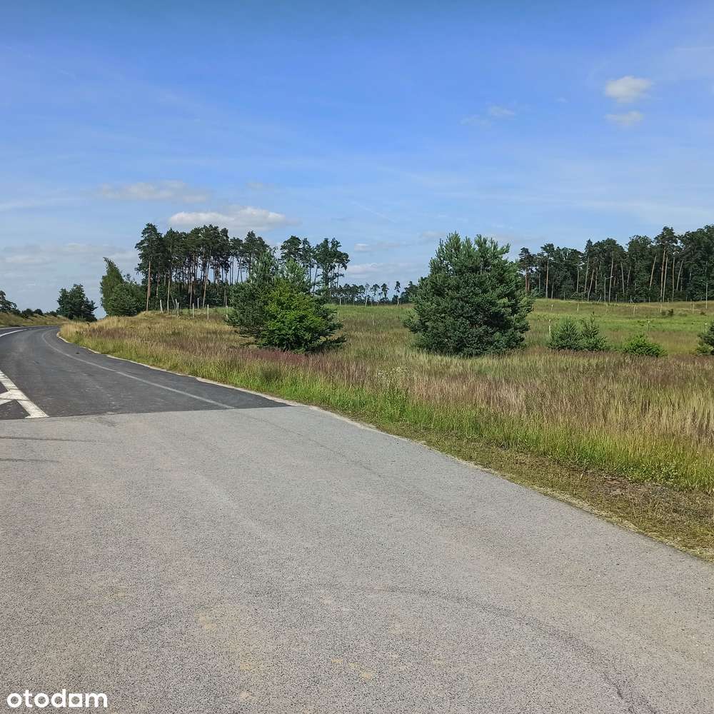 Działka, 3 461 m², Nietążkowo-5