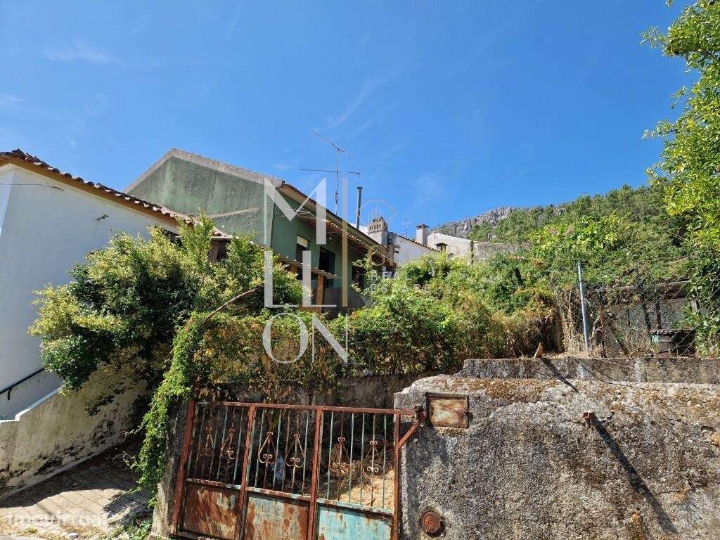 Moradia T3+1 com Sótão Amplo, Ruína e Potencial para Piscina | Gavião-3