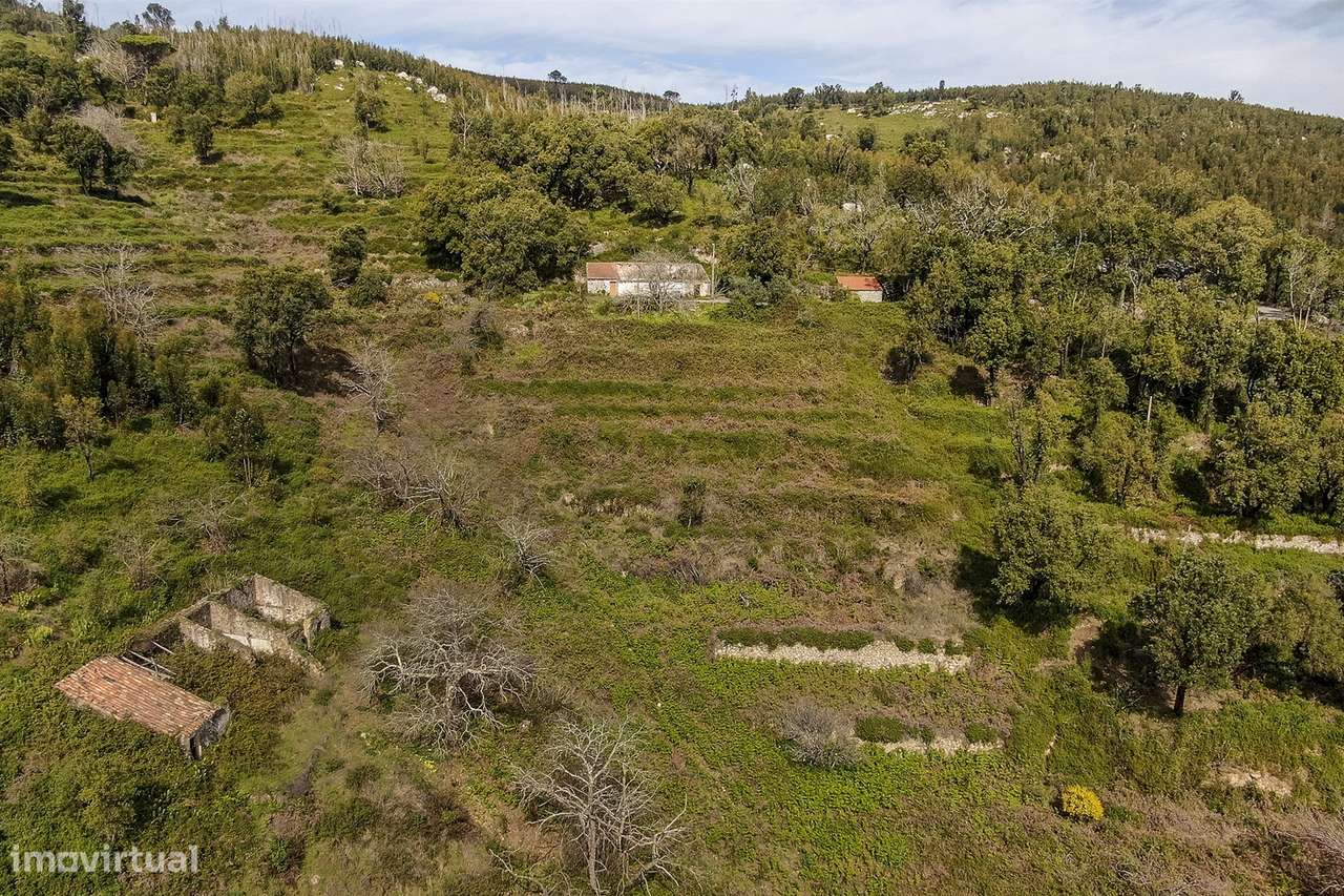 Terreno com Ruína, Monchique, Algarve - Grande imagem: 2/28