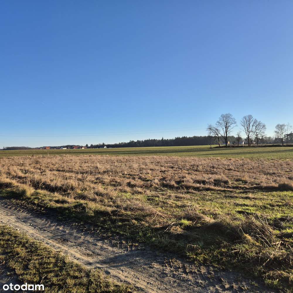 Działka przemysłowa Ligota polska 0,22ha przemysł, bazy, składy - Pełny obrazek: 5/6