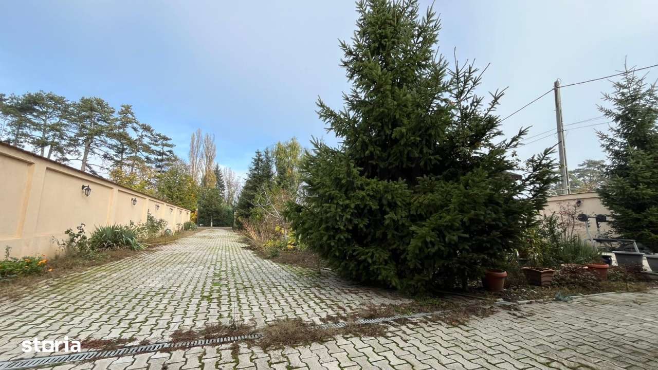 Vila deosebita cu piscina si teren generos Buftea zona exclusivista - Imagine principală: 5/15