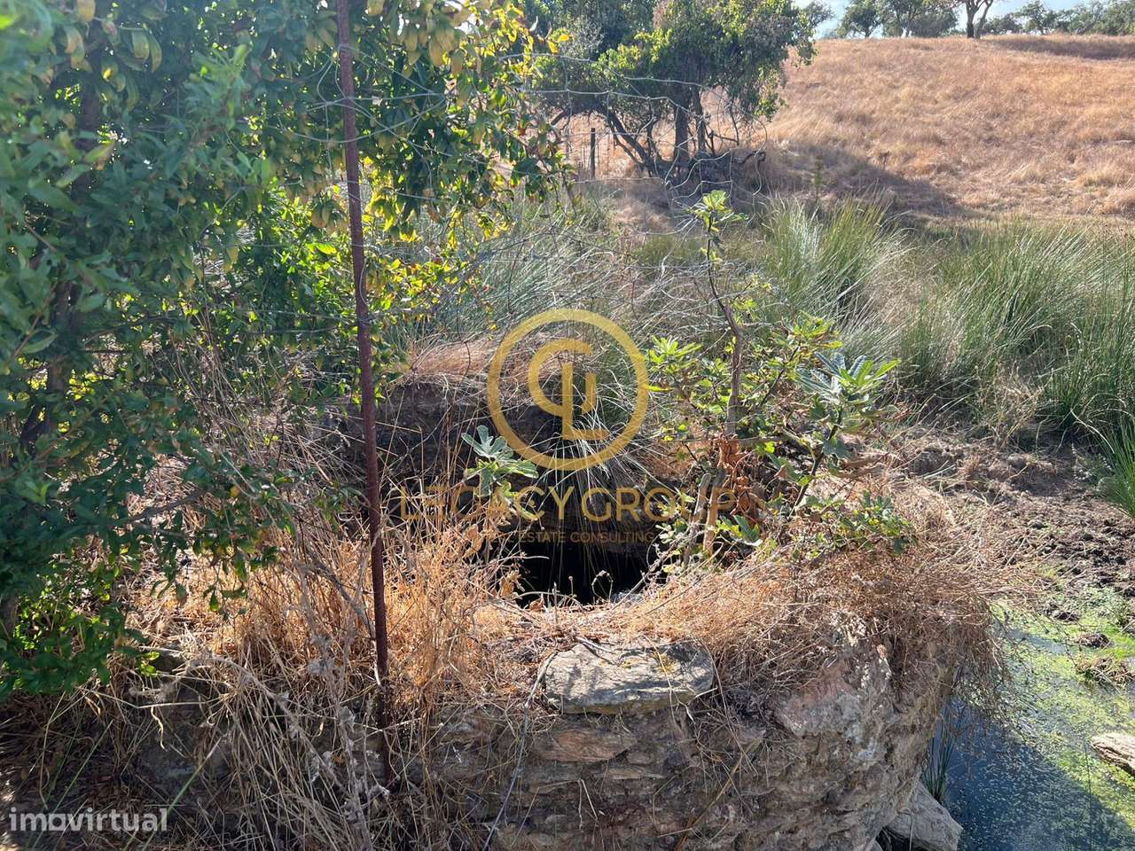 Conjunto de Propriedades em Serpa – 32,750 Hectares - Grande imagem: 5/51