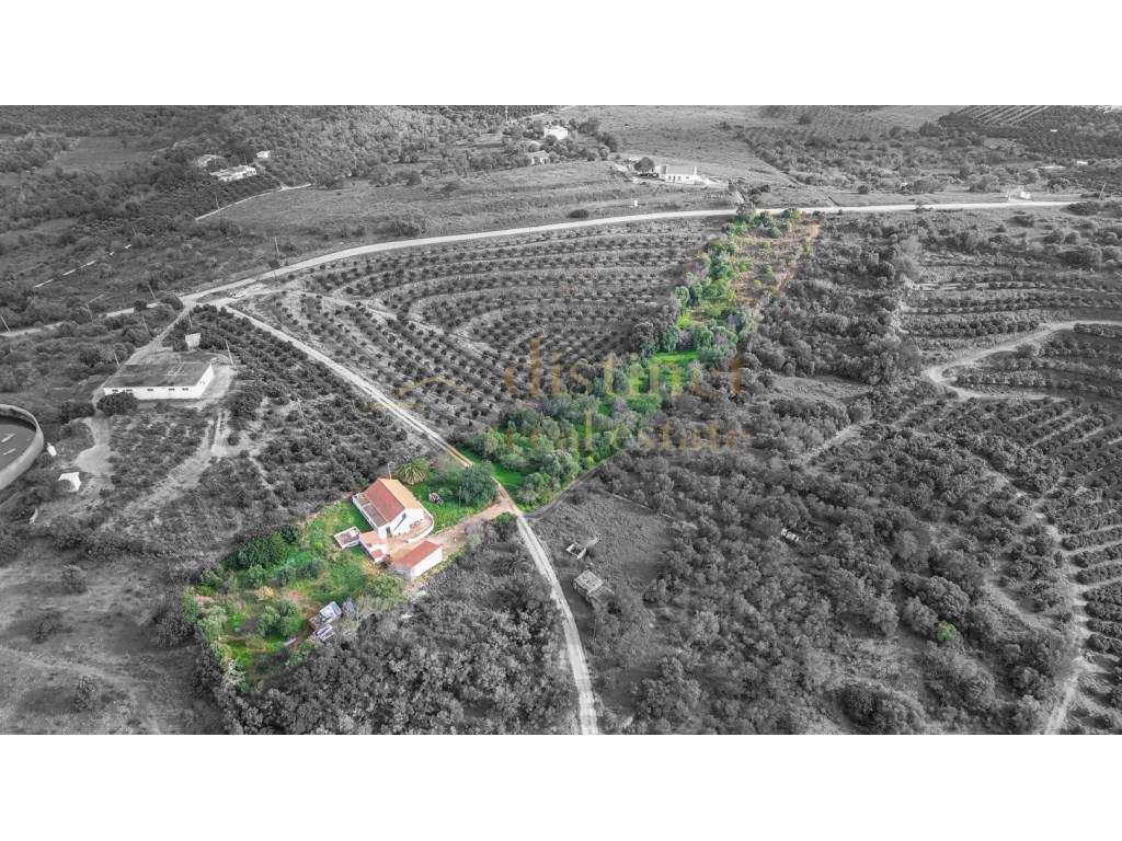 Casa de campo térrea com a necessidade de algumas obras num terreno...-9