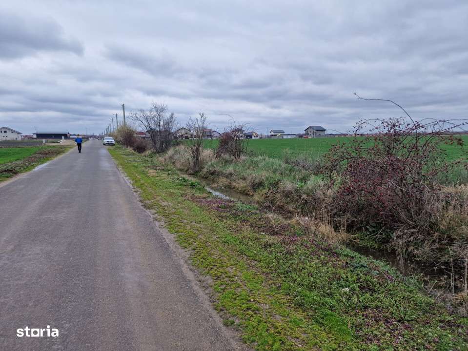 TEREN DE VANZARE DRAGOMIRESTI VALE - Imagine principală: 4/5