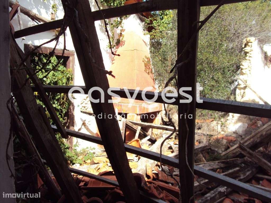 Moradia para remodelar, com logradouro a 15min. de Santarém. - Grande imagem: 5/15