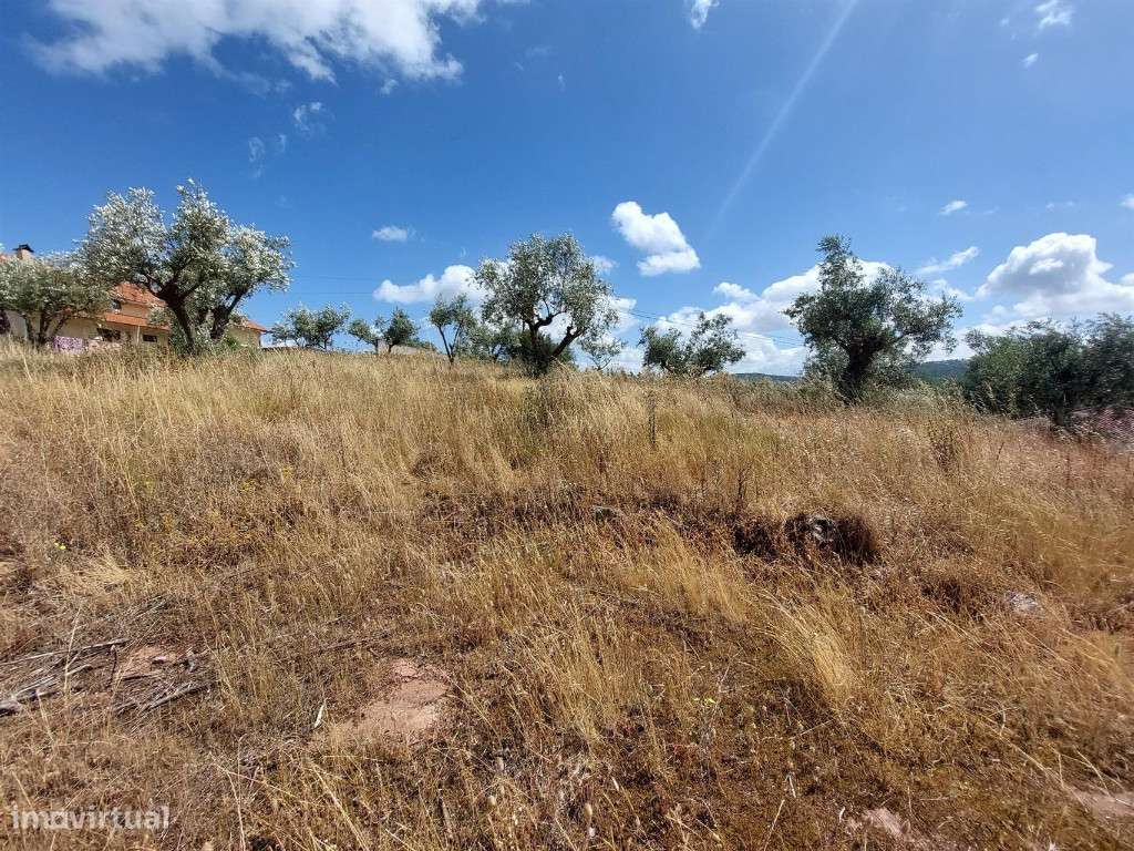 Terreno plano com capacidade construtiva - Grande imagem: 2/4