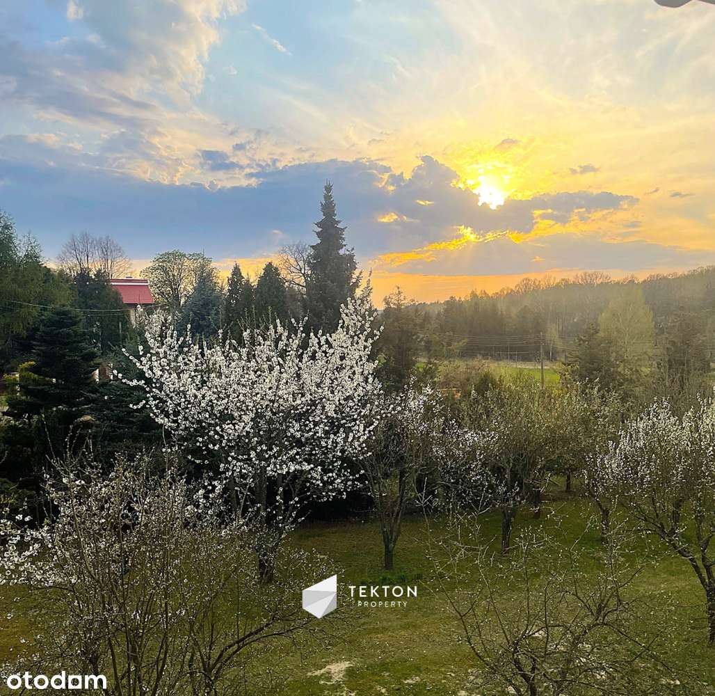 Dom do własnej aranżacji na dużej działce - Pełny obrazek: 3/14