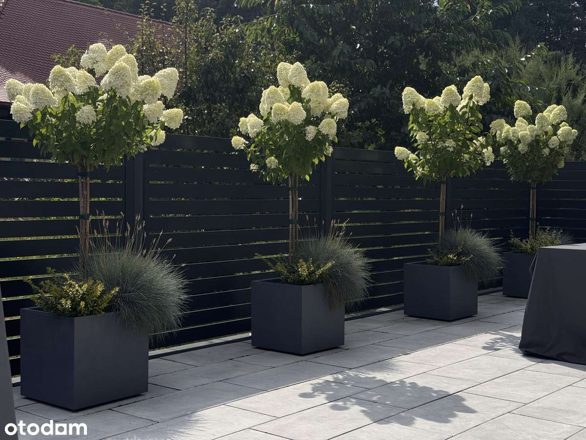 nowoczesny dom jednorodzinny w zabudowie bliźniaczej - Pełny obrazek: 4/18