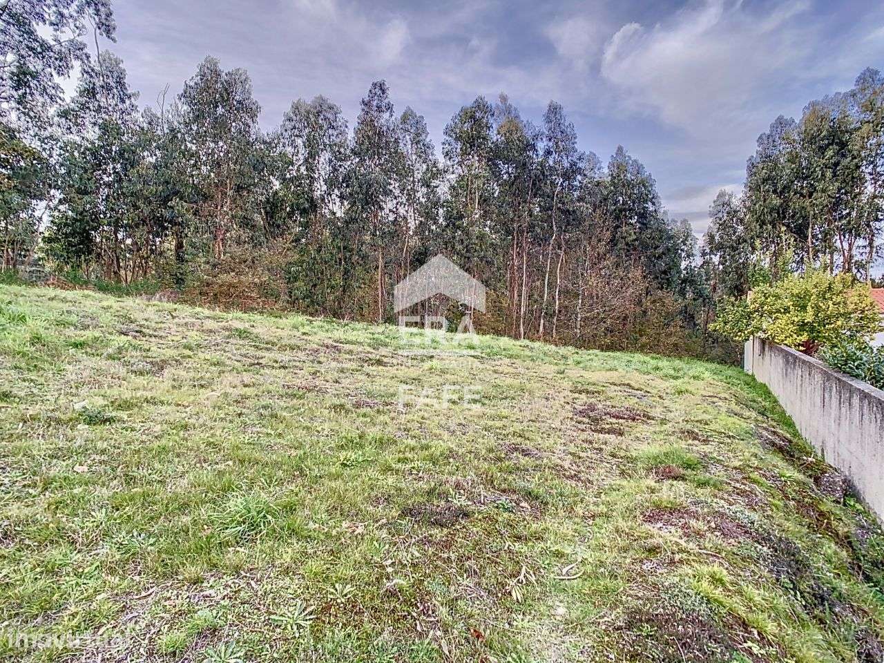 Lote industrial com 2.428m2 em Golães, Fafe - Grande imagem: 5/11