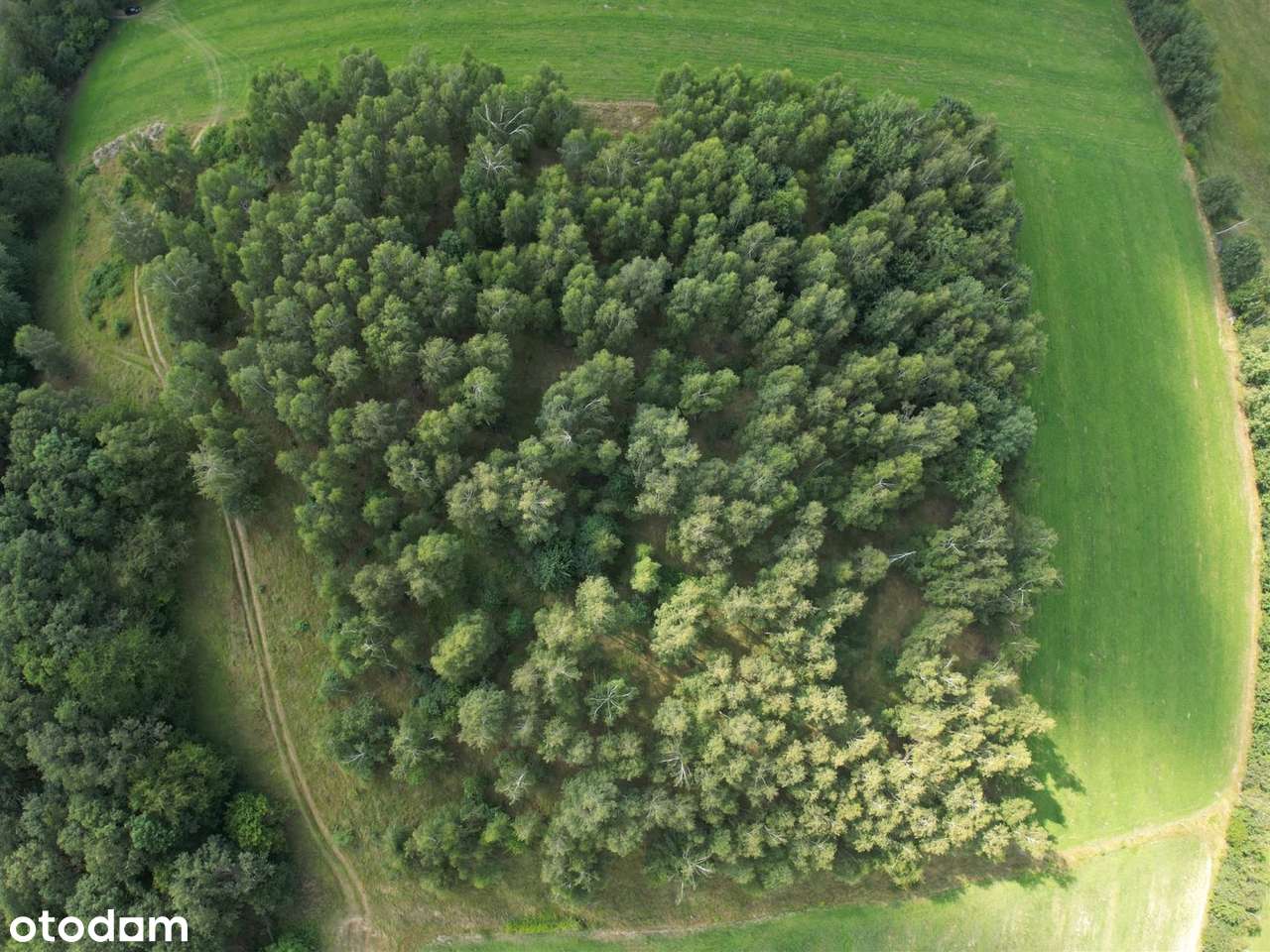 Działka Rolna - Pełny obrazek: 5/13