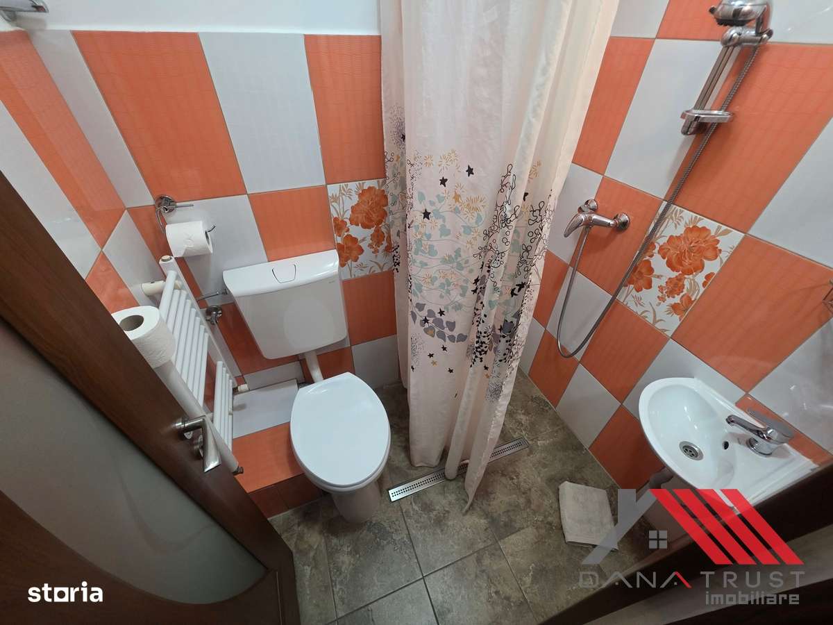 Calea Torontalului  - Proprietate multifuncțională de vânzare-6