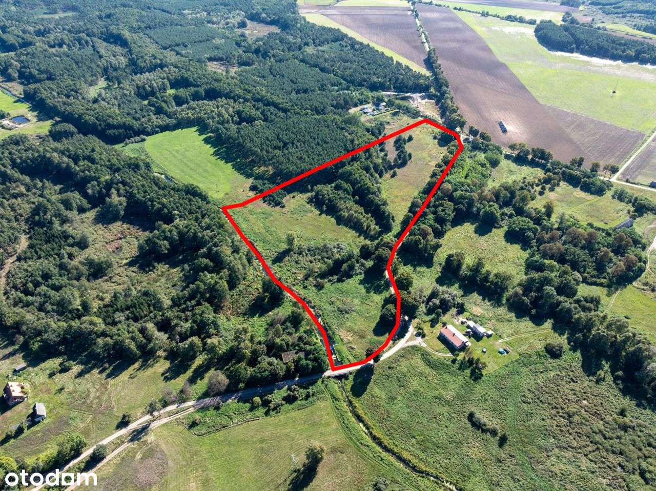 Działka 7,2 ha- przyroda i potencjał inwestycyjny-2