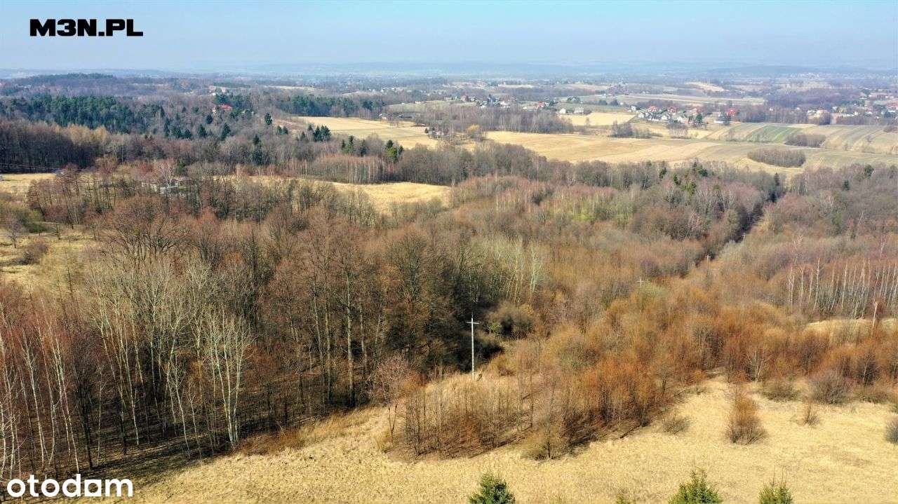 Działka rolna 58a Przytkowice, K-Zebrzydowska - Pełny obrazek: 5/10