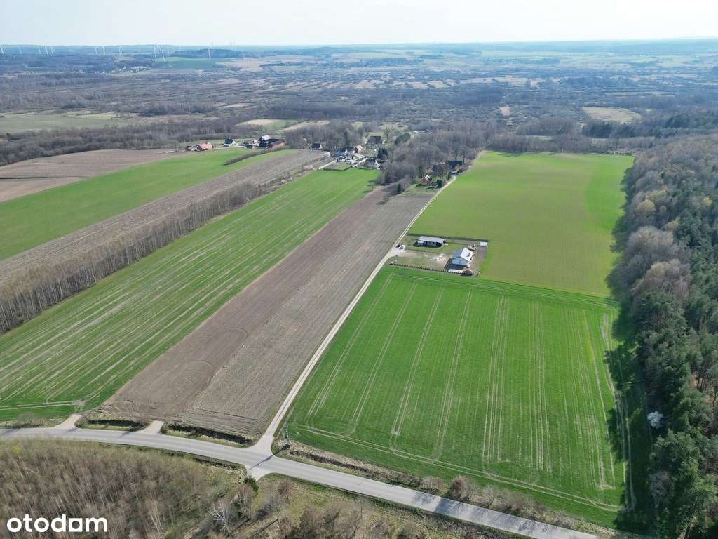 Duża działka, blisko zabudowania - Pełny obrazek: 5/5