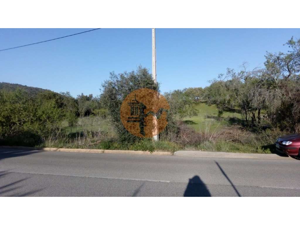 TERRENO RÚSTICO COM 11.200 M2 - PADERNE - ALBUFEIRA - ALGARVE-9