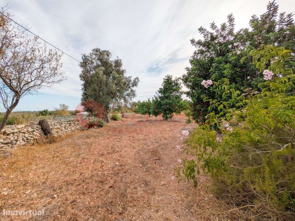 Moradia Rústica T6 com 5 Hectares em Tunes, Silves-54